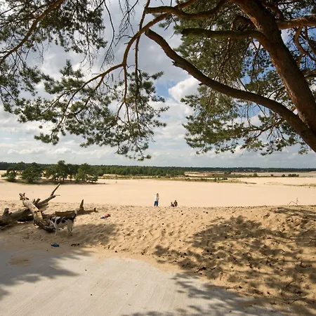 Duinhoeve 4* Udenhout