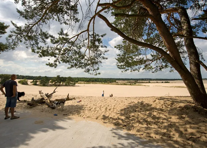 Duinhoeve 4* Udenhout